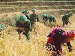 វាយតំលៃលទ្ធផលការងារតស៊ូប្រឆាំង “ការប្រែប្រួលដោយសន្តិភាវូបនីយកម្ម”  - ảnh 1